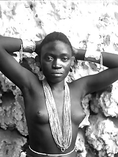 Wild Africa Riding Ebony