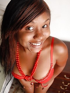 Lastar - Ebony Solo - Atk Exotic